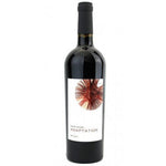 Adaptation Napa Cabernet Sauvignon 2018 - 750ML